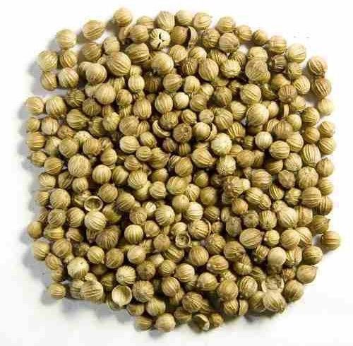 Coriander Seed Assortment