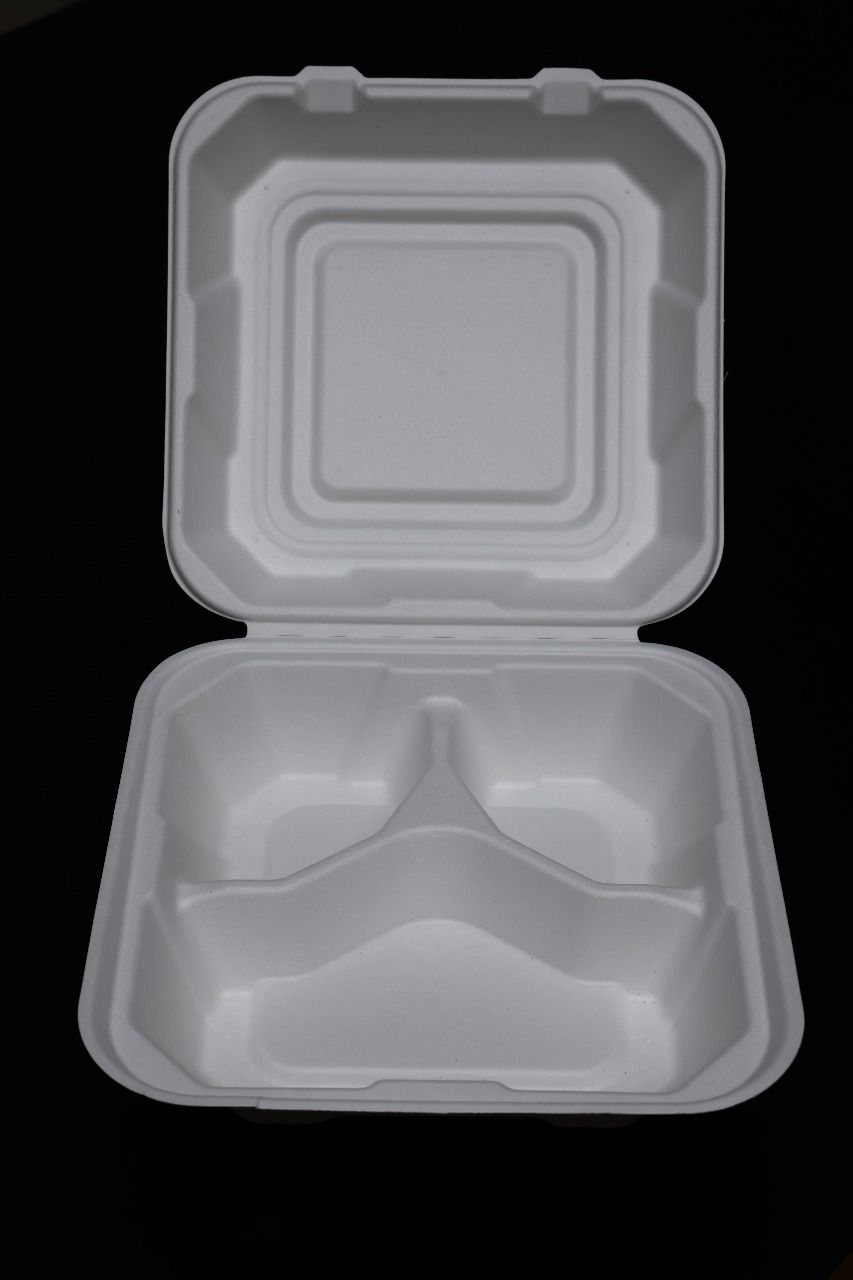 2 Compartment Bagasse Hinged Meal Box