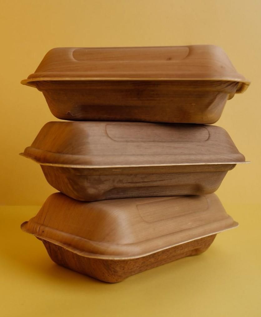 Areca Palm Leaf Food Packaging Box