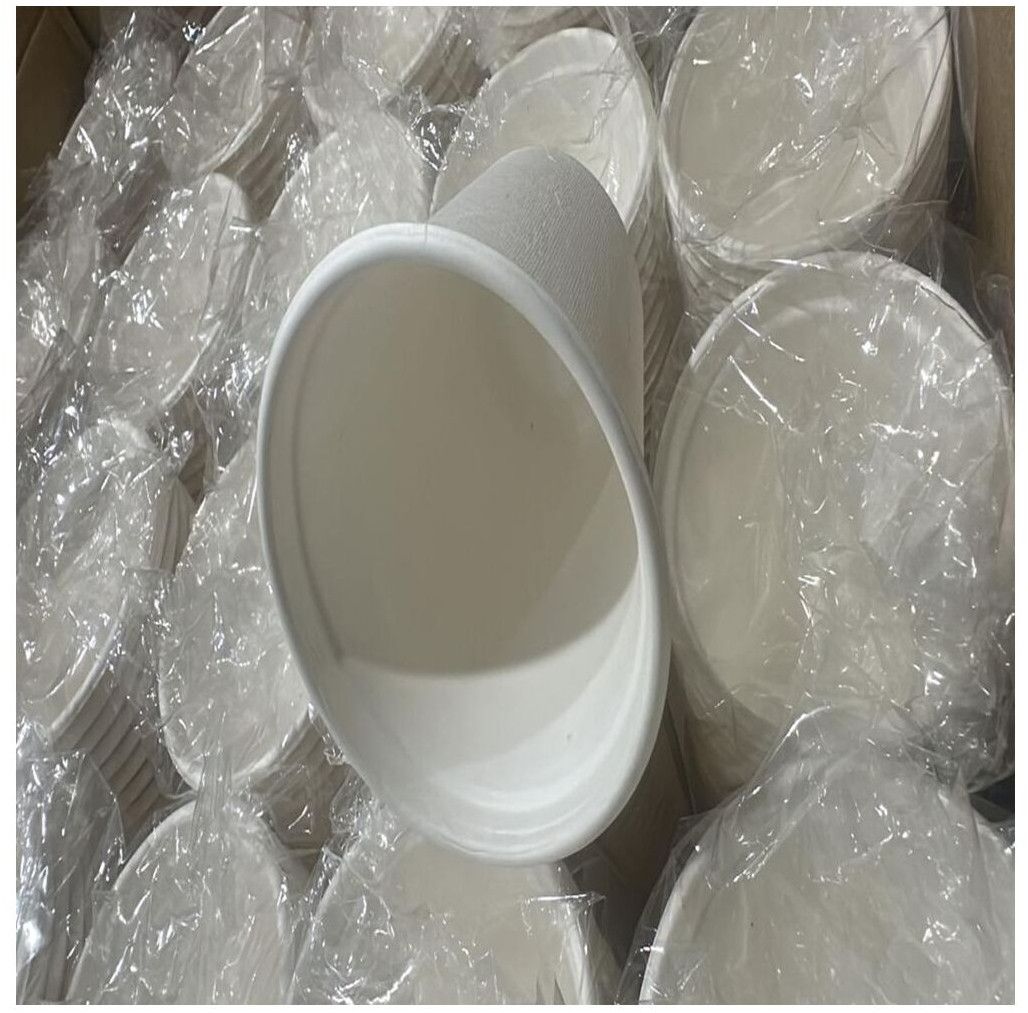 Compostable Bagasse Portion Cup