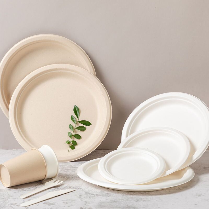Compostable Sugarcane Bagasse Tableware