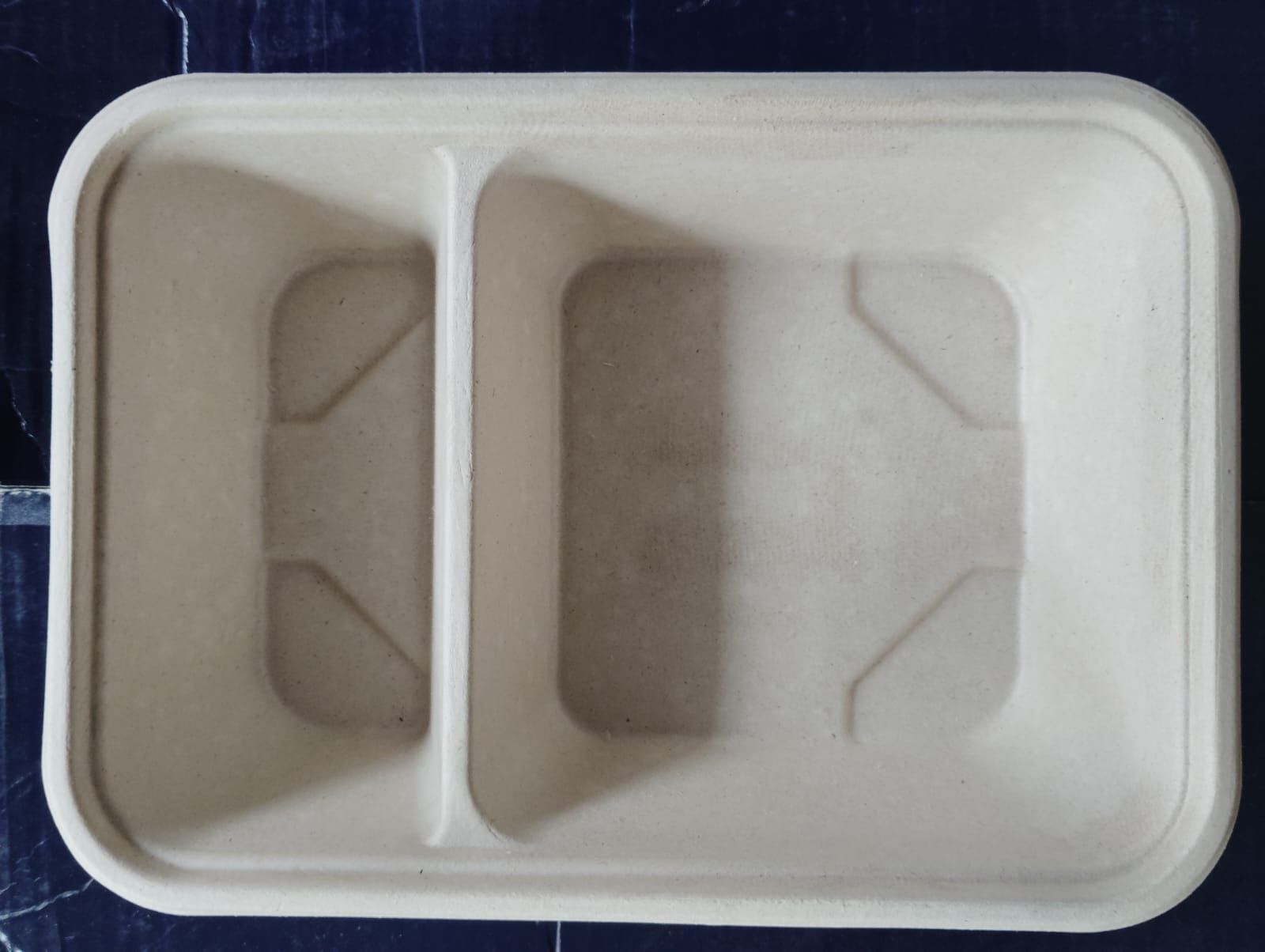 Sugarcane Bagasse 2 Section Rectangular Meal Tray