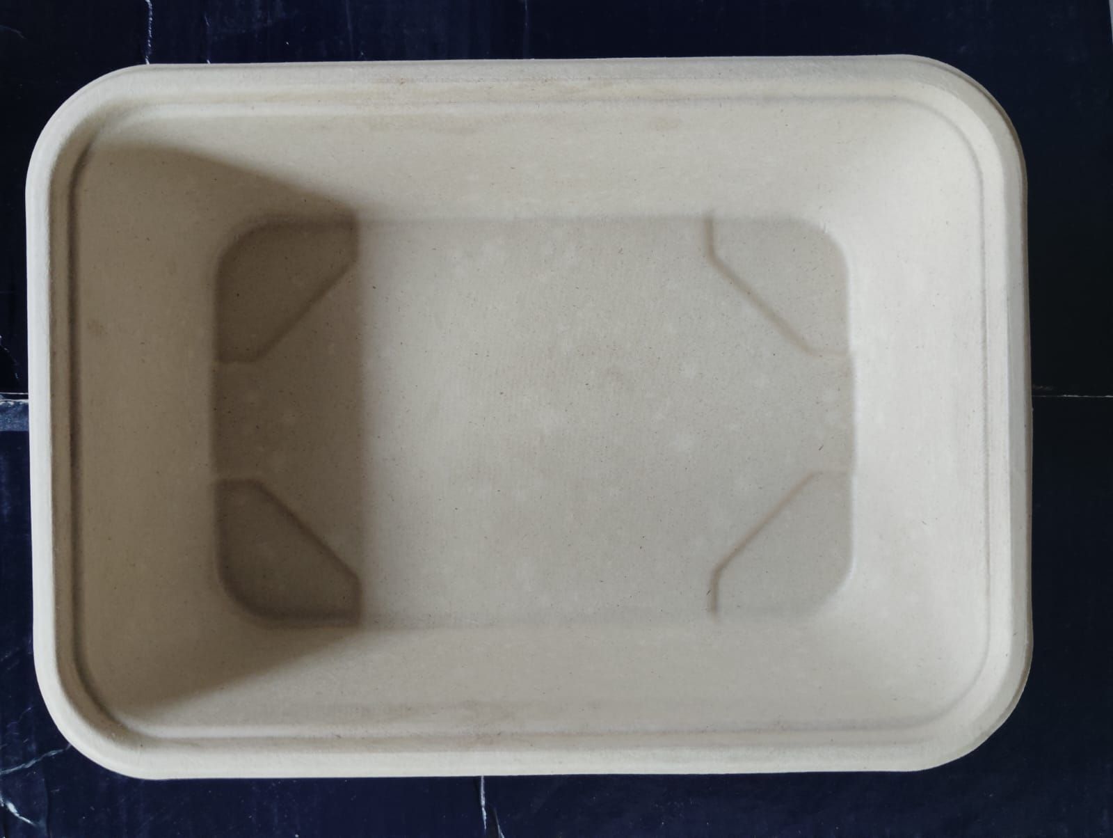 Sugarcane Bagasse Rectangular Food Service Tray