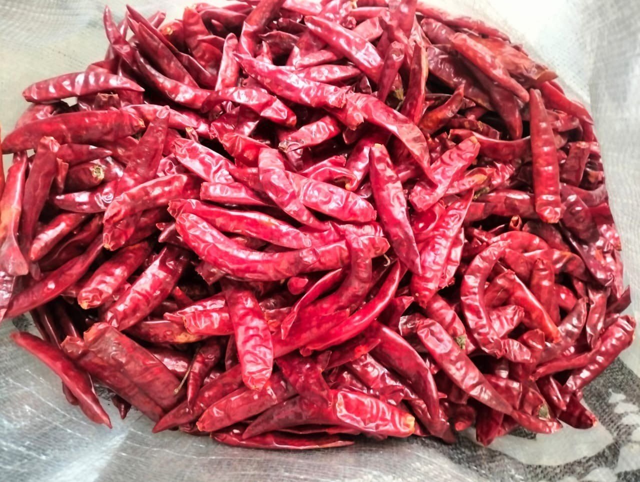 A Grade Kashmiri Red Chilli