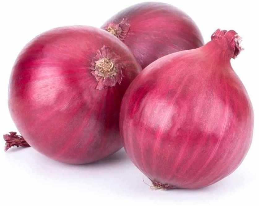 Red Onion Bulb