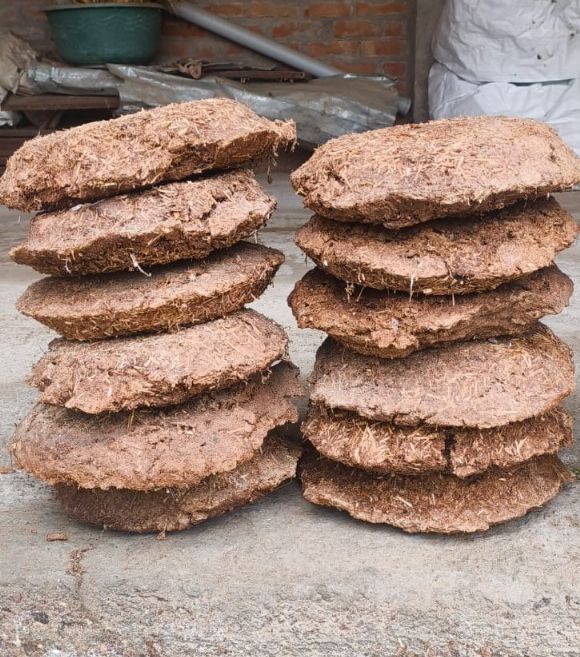 Cow Dung Cake