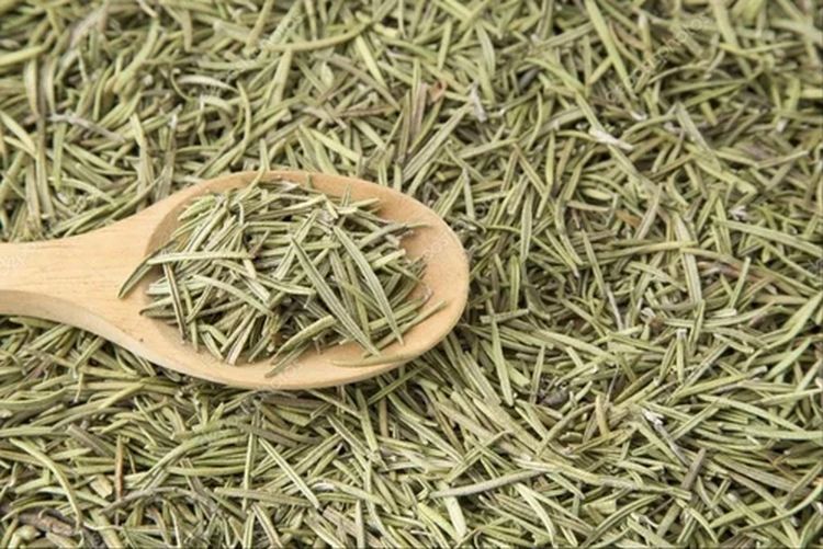 Sea Buckthorn Dry Leave