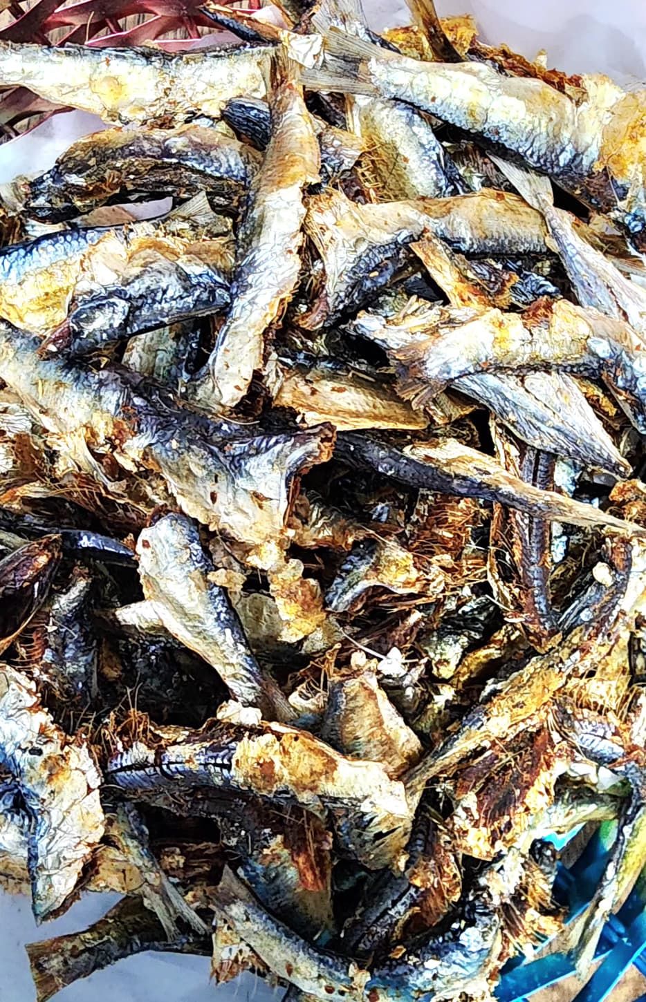 Dry Sardines Fish