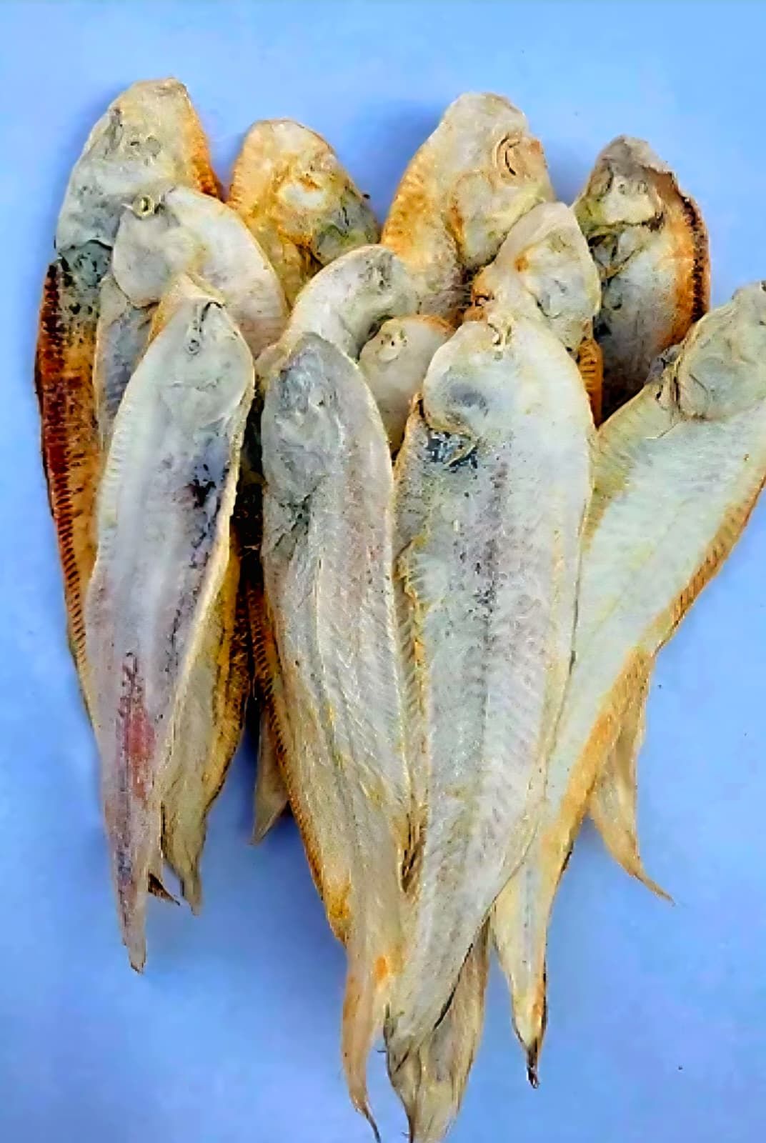 Dry Sole Fish