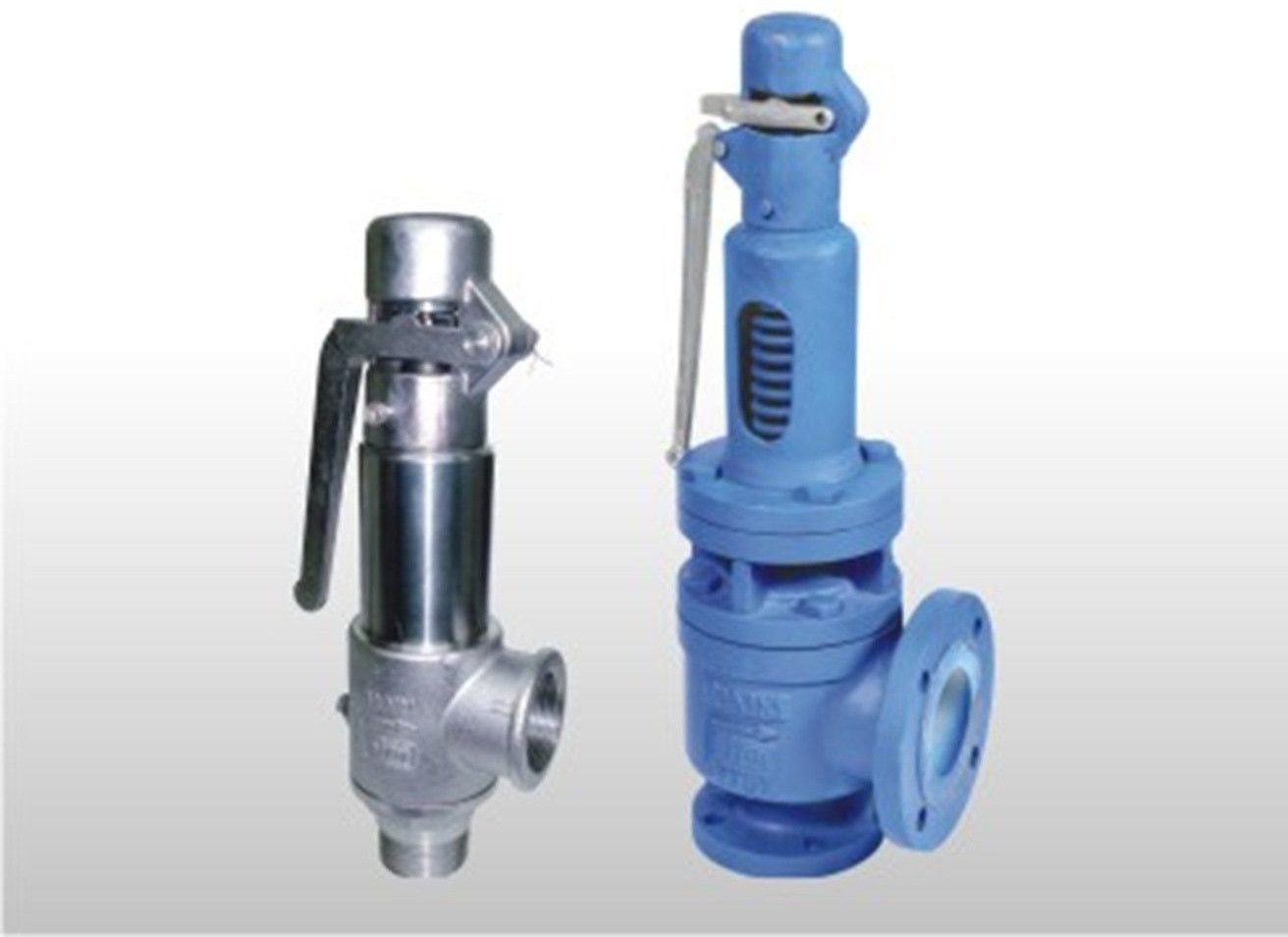 Pressure Safety Valve