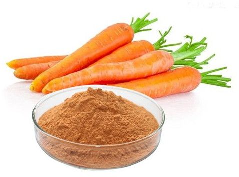 Dehydrated Carrot Powder