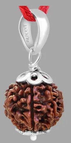 10 Mukhi Rudraksh Bead