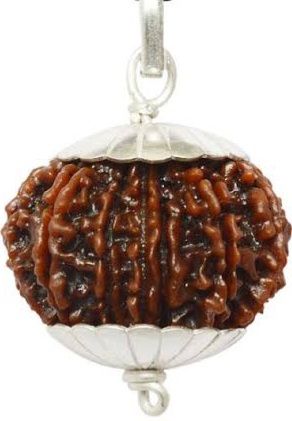 6 Mukhi Rudraksh Bead