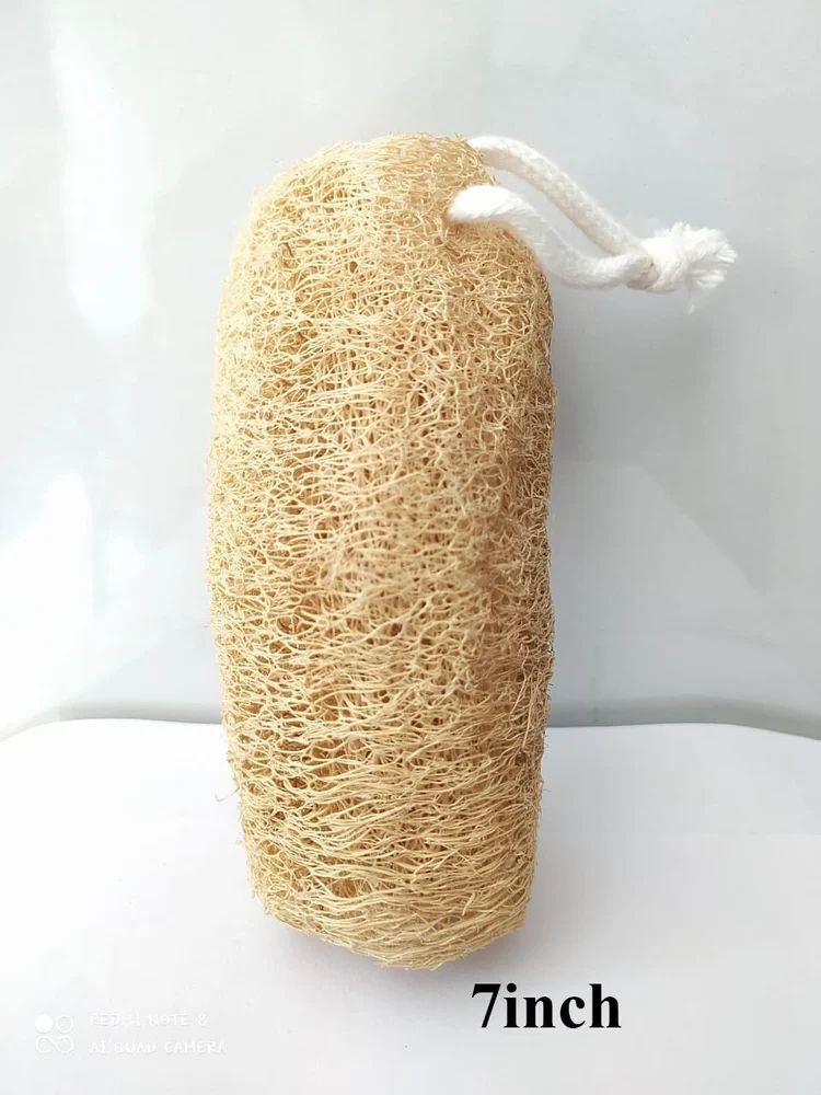 Cylindrical Natural Loofah