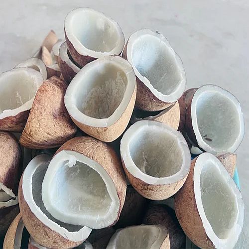 Dried Copra Coconut