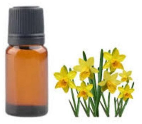 Daffodil Absolute Oil