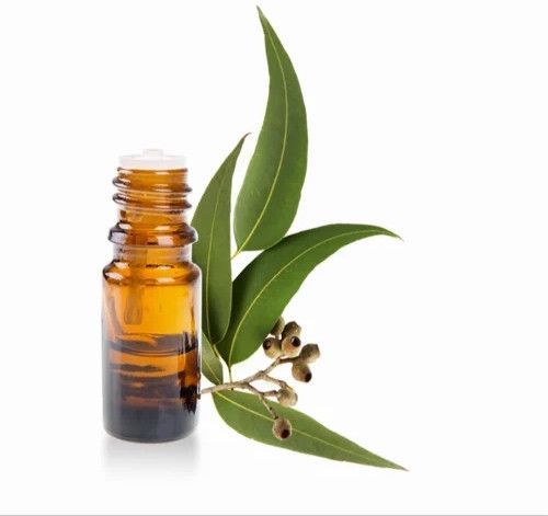 Eucalyptol Essential Oil