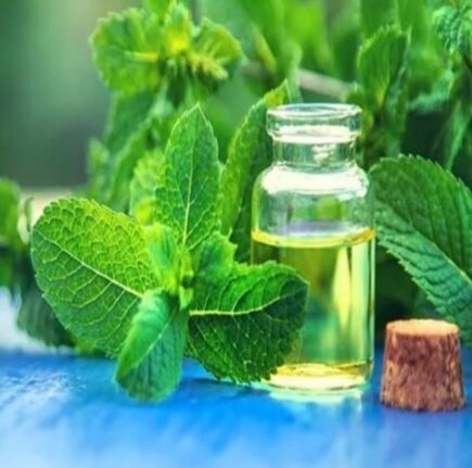 Mentha Piperita Oil