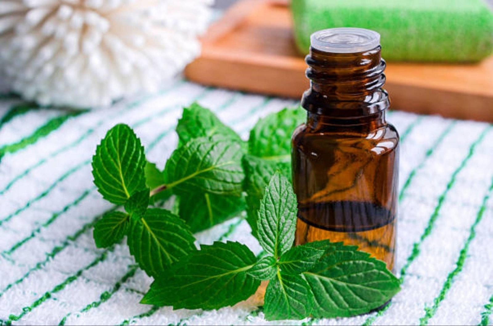 Peppermint Fragrance Oil