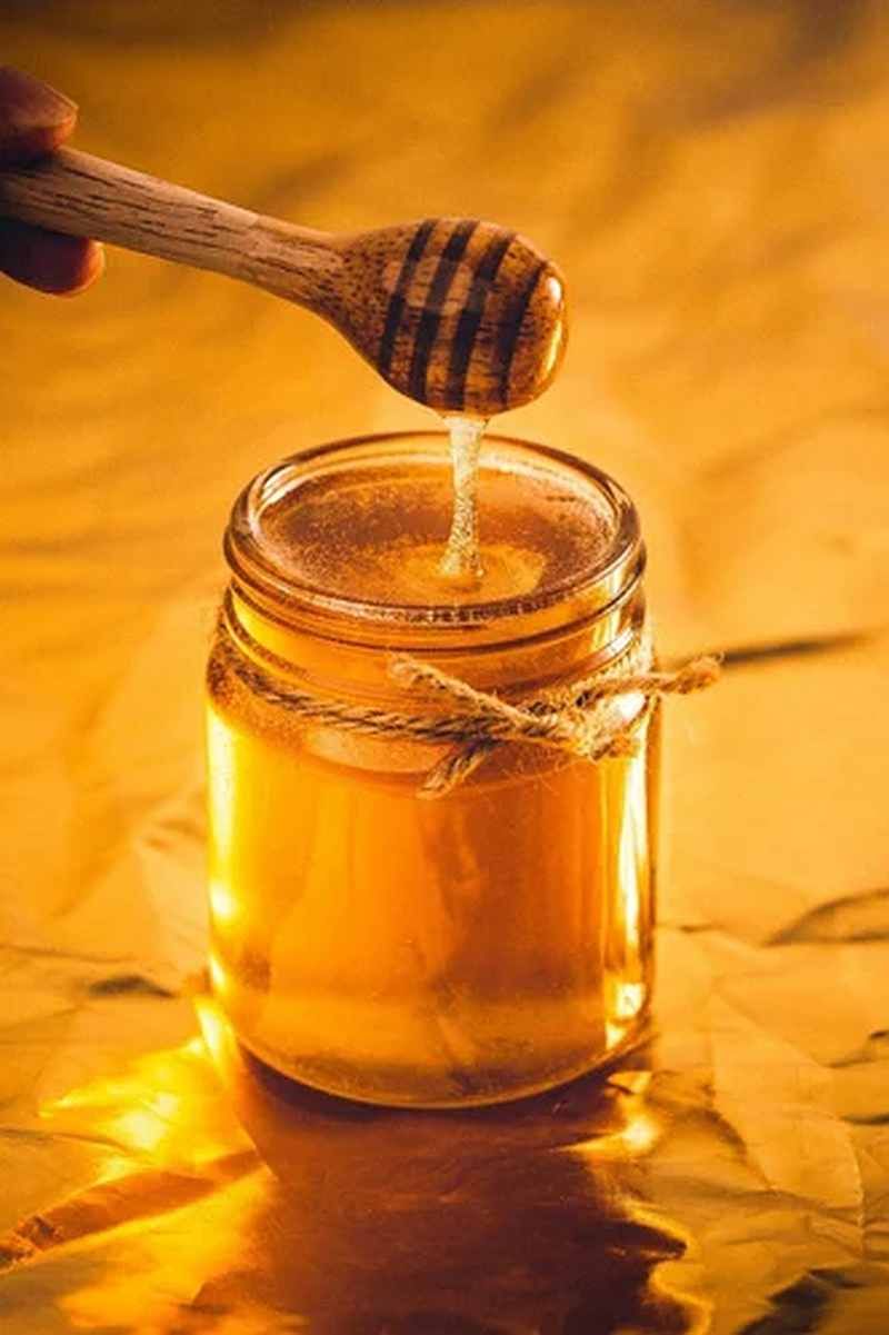 Organic Forest Honey