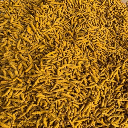 Dried Turmeric Fingers