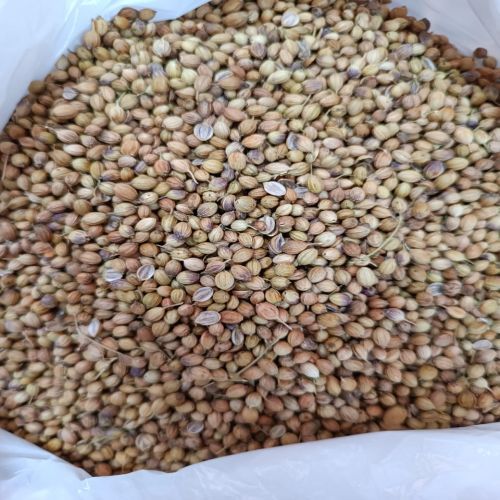Eagle Coriander Seeds