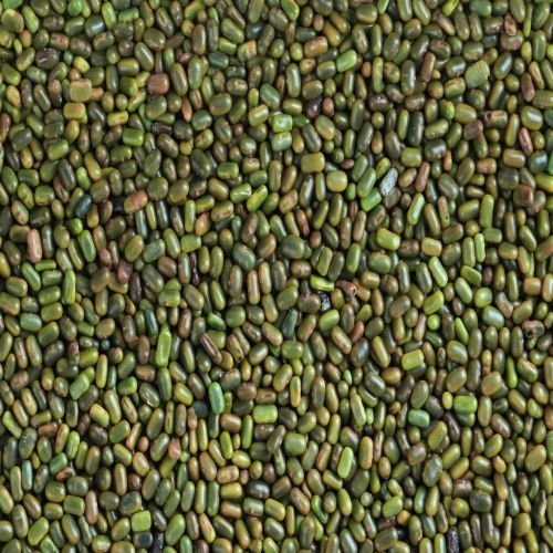 Green Sesbania Seeds