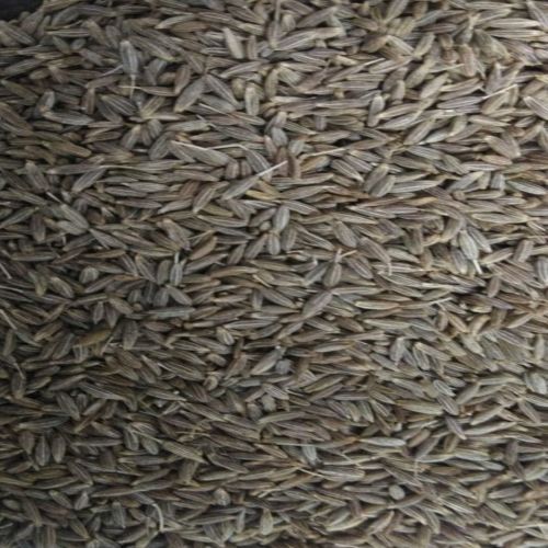 Strong Aroma Cumin Seeds