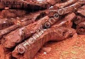 Red Sandalwood Logs
