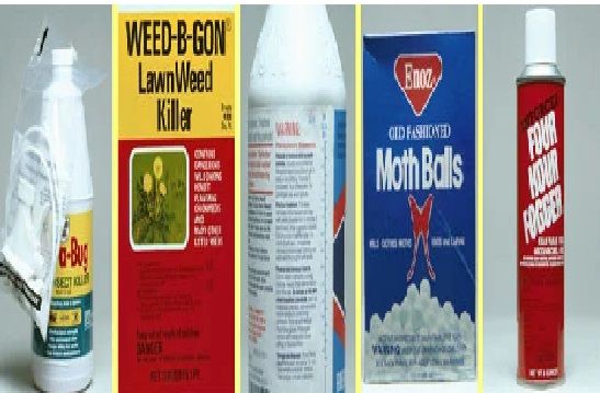 Pesticides Label Sticker