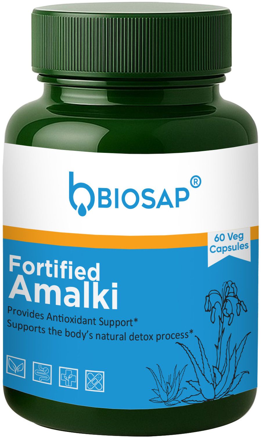 Fortified Amalaki Capsule