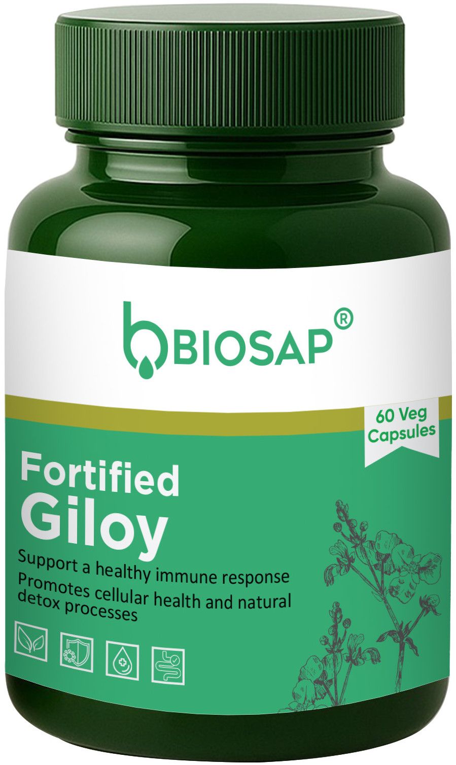 Fortified Giloy Capsule