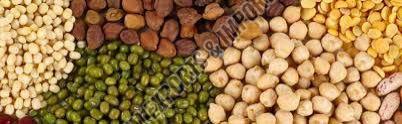 Indian Pulses