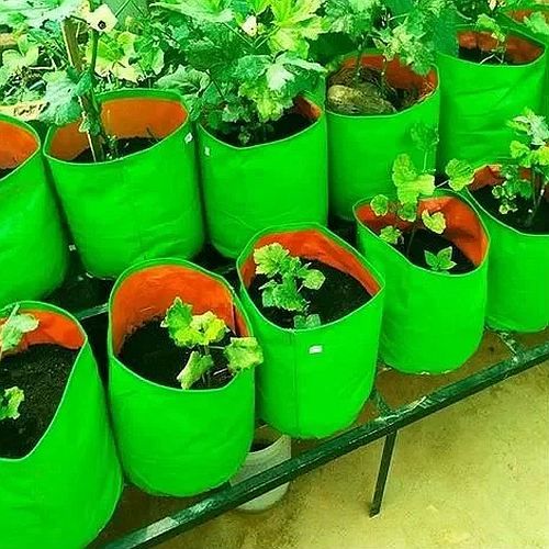 Green HDPE Plant Grow Bag