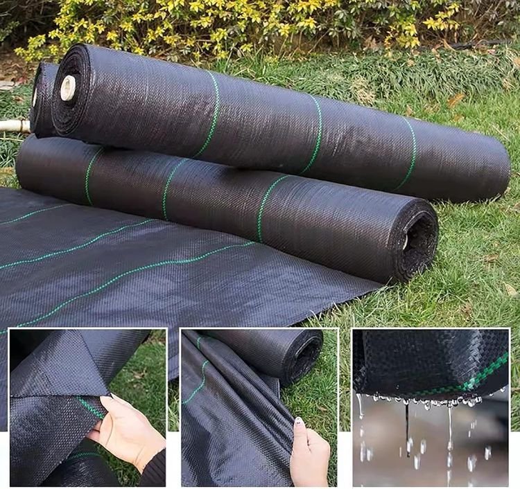 PP Woven Ground Cover