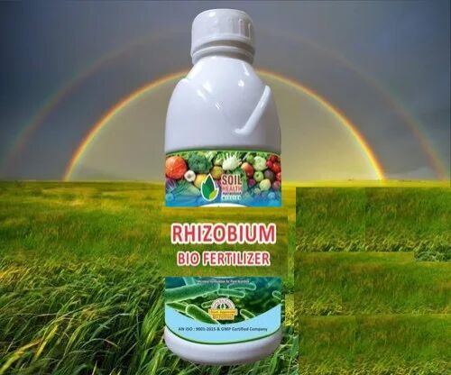 Rhizobium Biofertilizer