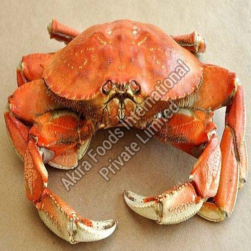 High Quality Frozen Crab