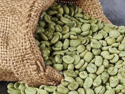 Arabica Parchment Raw Coffee Beans