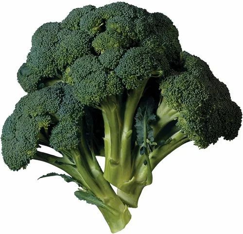 A Grade Green Fresh Broccoli Crowns