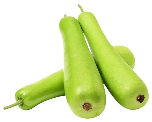 Fresh Bottle Gourd