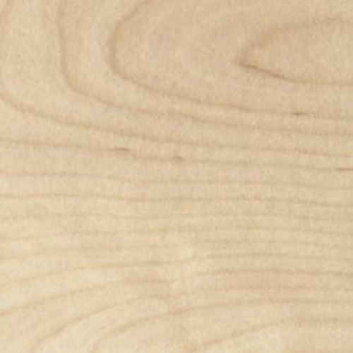 Birch Wood