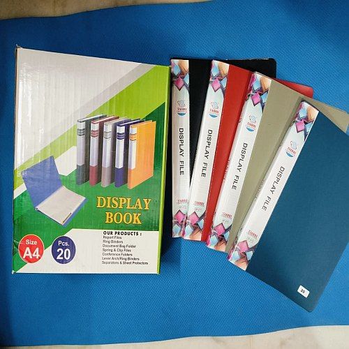 Multicolor Plastic Display File Folder