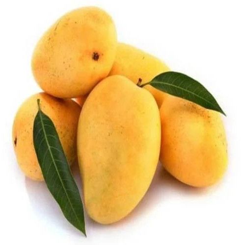Fresh Yellow Mango