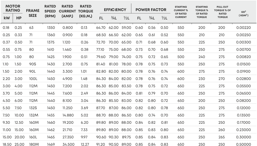 IE2 4 POLE  1000 RPM