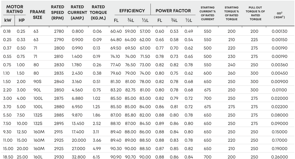 IE2 2 POLE  1000 RPM