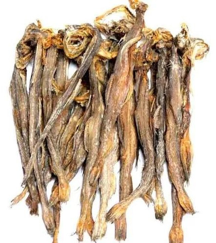 Dried Bombay Duck Fish