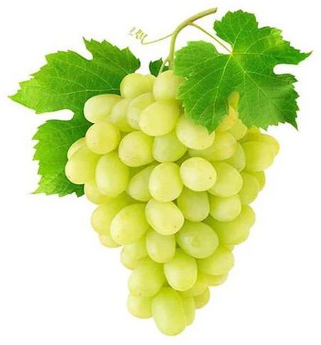 Fresh Green Grapes