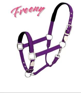 Purple Horse Nylon Halter