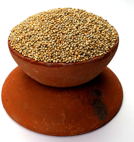 Bajra Seeds