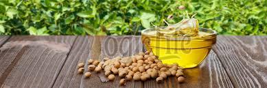 Soyabean Oil